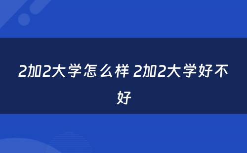 2加2大学怎么样 2加2大学好不好