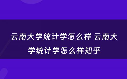 云南大学统计学怎么样 云南大学统计学怎么样知乎