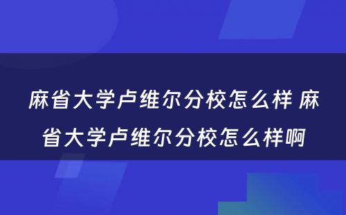 麻省大学卢维尔分校怎么样 麻省大学卢维尔分校怎么样啊