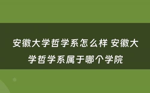 安徽大学哲学系怎么样 安徽大学哲学系属于哪个学院