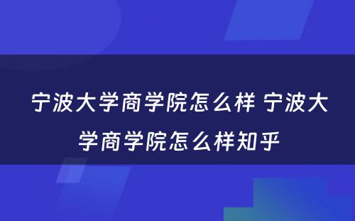 宁波大学商学院怎么样 宁波大学商学院怎么样知乎