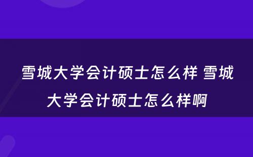 雪城大学会计硕士怎么样 雪城大学会计硕士怎么样啊