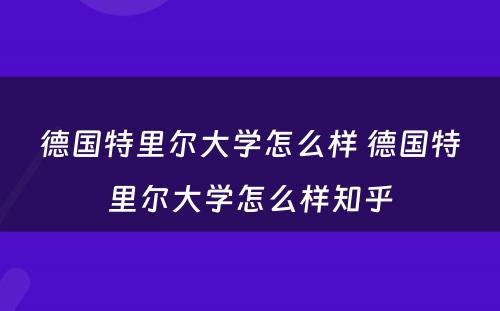 德国特里尔大学怎么样 德国特里尔大学怎么样知乎
