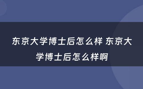 东京大学博士后怎么样 东京大学博士后怎么样啊