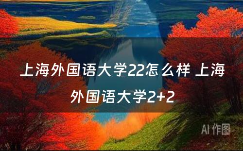上海外国语大学22怎么样 上海外国语大学2+2