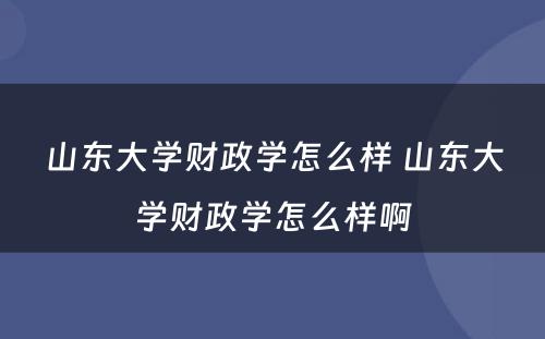 山东大学财政学怎么样 山东大学财政学怎么样啊