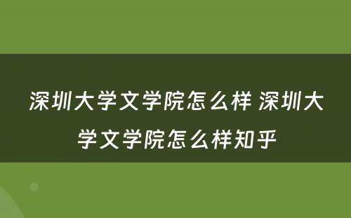 深圳大学文学院怎么样 深圳大学文学院怎么样知乎