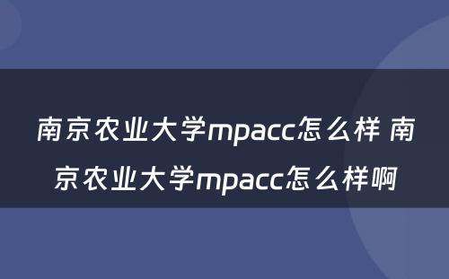 南京农业大学mpacc怎么样 南京农业大学mpacc怎么样啊