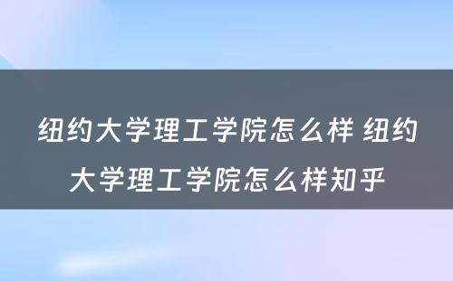 纽约大学理工学院怎么样 纽约大学理工学院怎么样知乎