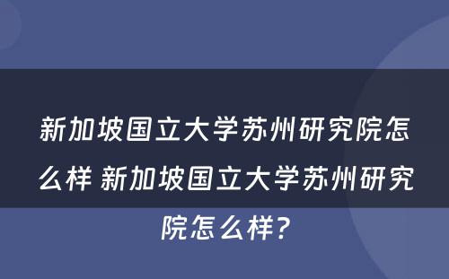 新加坡国立大学苏州研究院怎么样 新加坡国立大学苏州研究院怎么样?