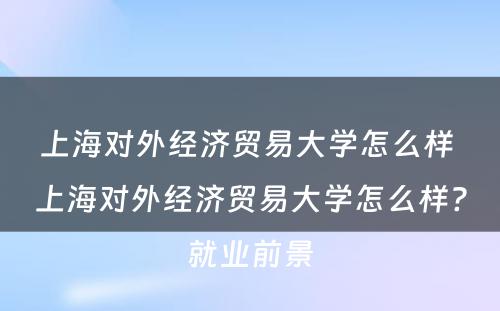 上海对外经济贸易大学怎么样 上海对外经济贸易大学怎么样?就业前景