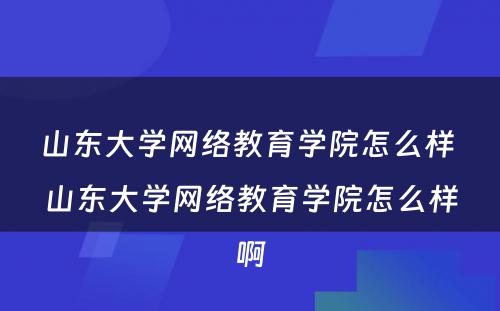 山东大学网络教育学院怎么样 山东大学网络教育学院怎么样啊