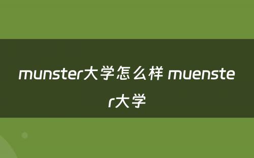 munster大学怎么样 muenster大学