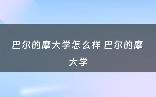 巴尔的摩大学怎么样 巴尔的摩 大学