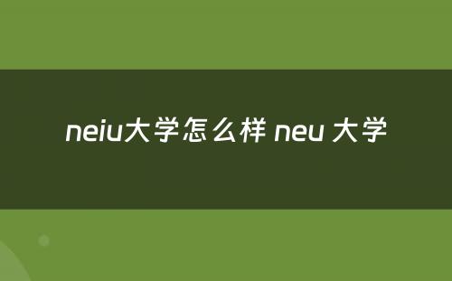 neiu大学怎么样 neu 大学