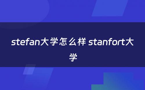 stefan大学怎么样 stanfort大学