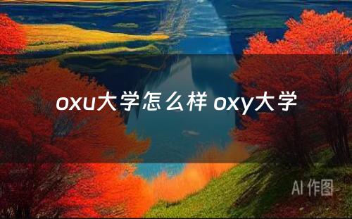 oxu大学怎么样 oxy大学