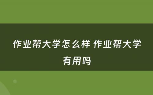 作业帮大学怎么样 作业帮大学有用吗