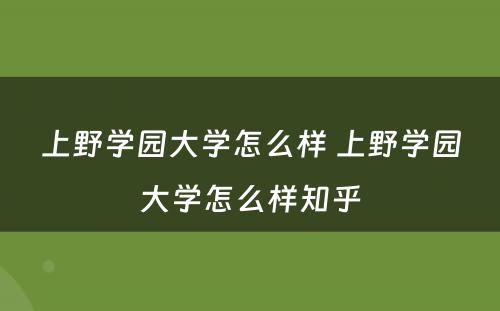 上野学园大学怎么样 上野学园大学怎么样知乎