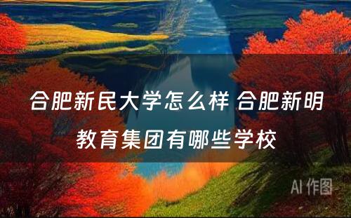 合肥新民大学怎么样 合肥新明教育集团有哪些学校