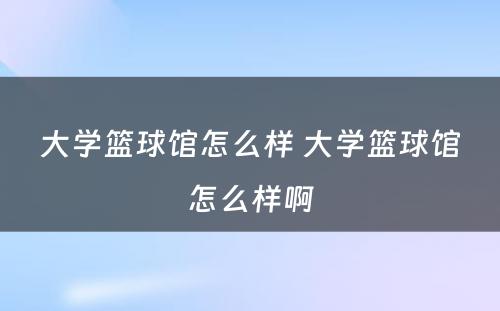 大学篮球馆怎么样 大学篮球馆怎么样啊