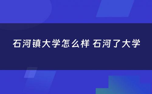 石河镇大学怎么样 石河了大学