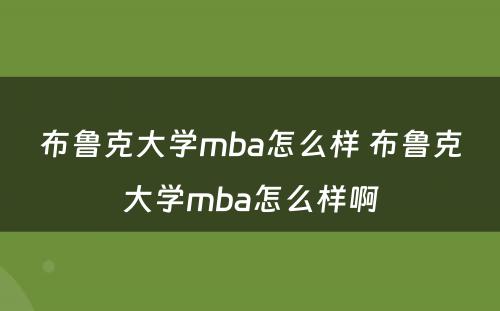 布鲁克大学mba怎么样 布鲁克大学mba怎么样啊