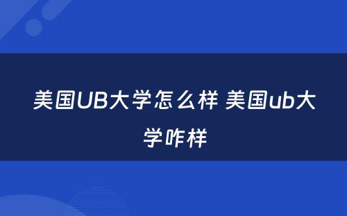 美国UB大学怎么样 美国ub大学咋样