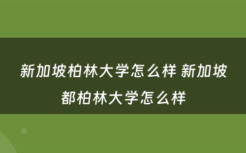 新加坡柏林大学怎么样 新加坡都柏林大学怎么样
