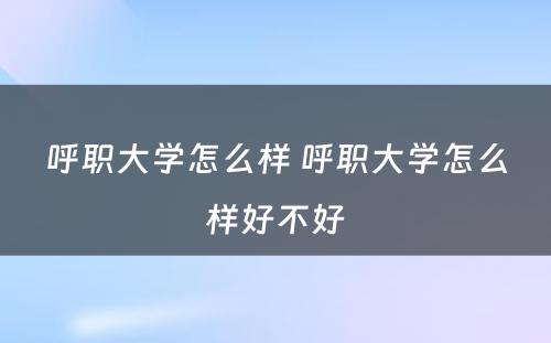 呼职大学怎么样 呼职大学怎么样好不好