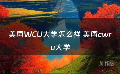 美国WCU大学怎么样 美国cwru大学