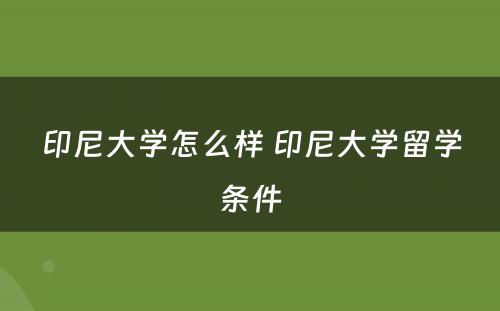 印尼大学怎么样 印尼大学留学条件