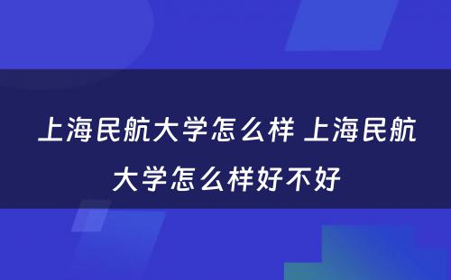 上海民航大学怎么样 上海民航大学怎么样好不好