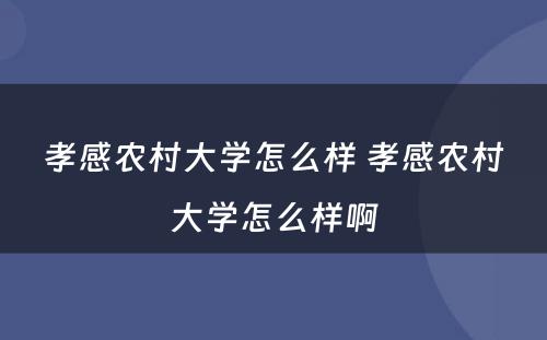 孝感农村大学怎么样 孝感农村大学怎么样啊