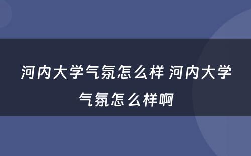 河内大学气氛怎么样 河内大学气氛怎么样啊
