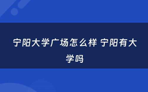 宁阳大学广场怎么样 宁阳有大学吗