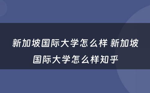 新加坡国际大学怎么样 新加坡国际大学怎么样知乎