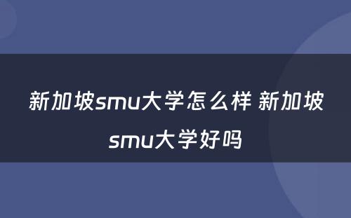 新加坡smu大学怎么样 新加坡smu大学好吗