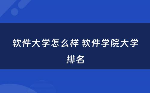 软件大学怎么样 软件学院大学排名