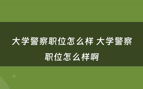 大学警察职位怎么样 大学警察职位怎么样啊