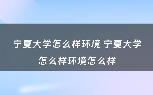 宁夏大学怎么样环境 宁夏大学怎么样环境怎么样