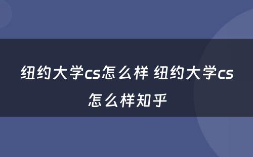 纽约大学cs怎么样 纽约大学cs怎么样知乎