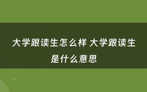 大学跟读生怎么样 大学跟读生是什么意思