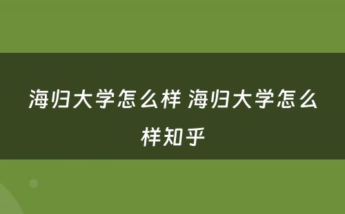 海归大学怎么样 海归大学怎么样知乎