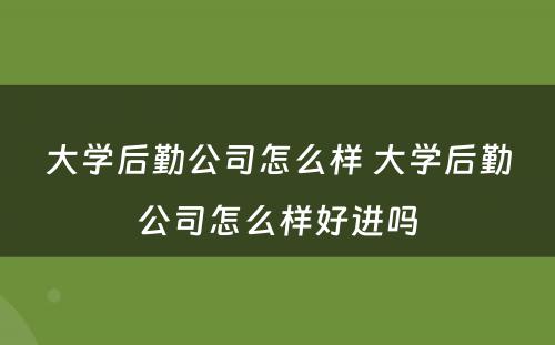 大学后勤公司怎么样 大学后勤公司怎么样好进吗