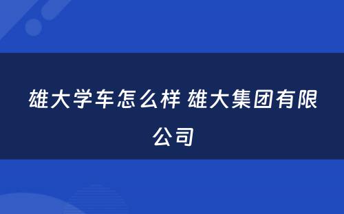 雄大学车怎么样 雄大集团有限公司