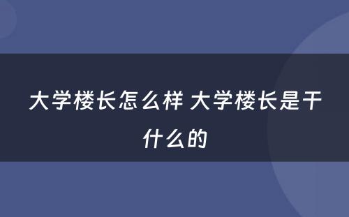 大学楼长怎么样 大学楼长是干什么的