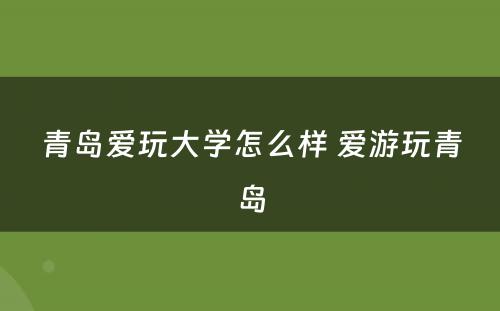 青岛爱玩大学怎么样 爱游玩青岛