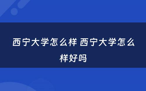 西宁大学怎么样 西宁大学怎么样好吗