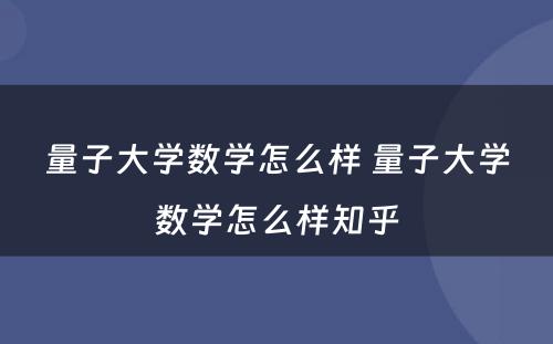 量子大学数学怎么样 量子大学数学怎么样知乎